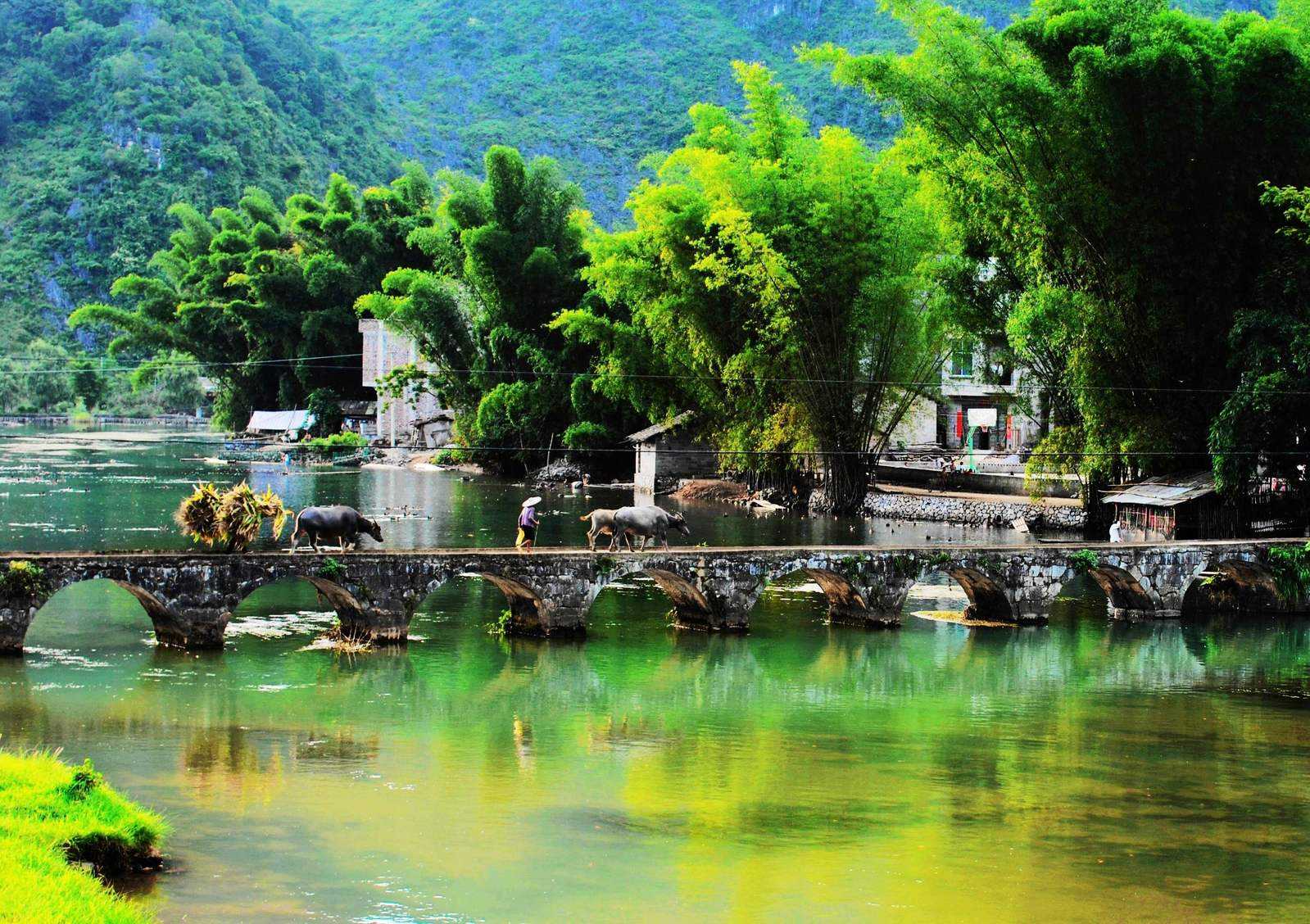 景区内有溶洞,石林,瀑布,山泉,又有宗祠,寺庙,山寨,自然风景优美.