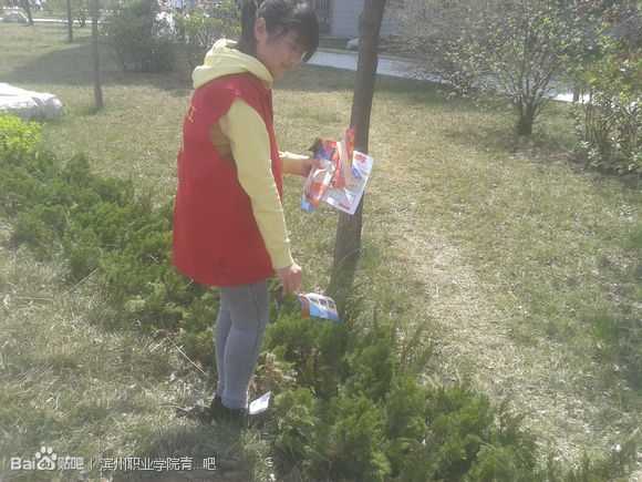 直属的校级学生组织,在校团委的指导下,全面组织,实施志愿者服务活动