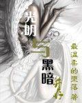 光明与黑暗并存