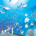 东湖海洋世界