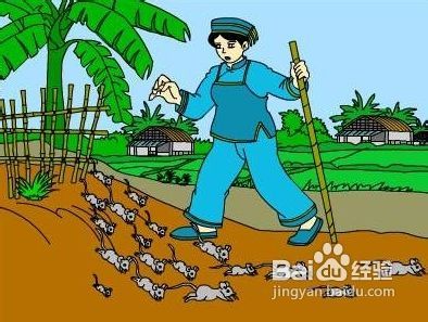 地震前兆是什么
