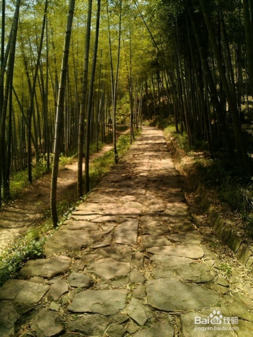 余杭径山一日游攻略