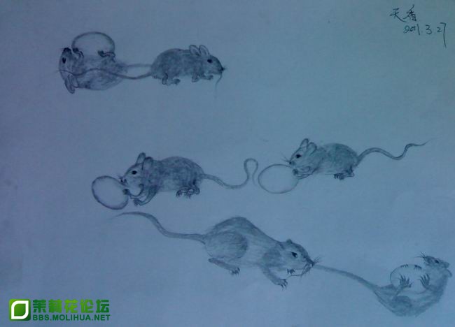 小老鼠偷鸡蛋简笔画图片