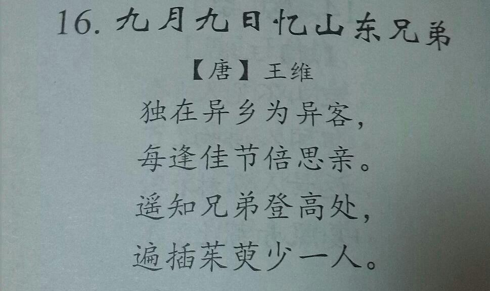 王维的九月九日忆山东兄弟的前两句