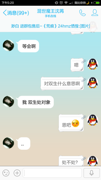 双生什么意思
