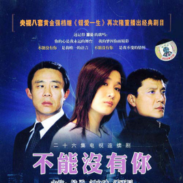 不能没有你(2005年马功伟执导电视剧)