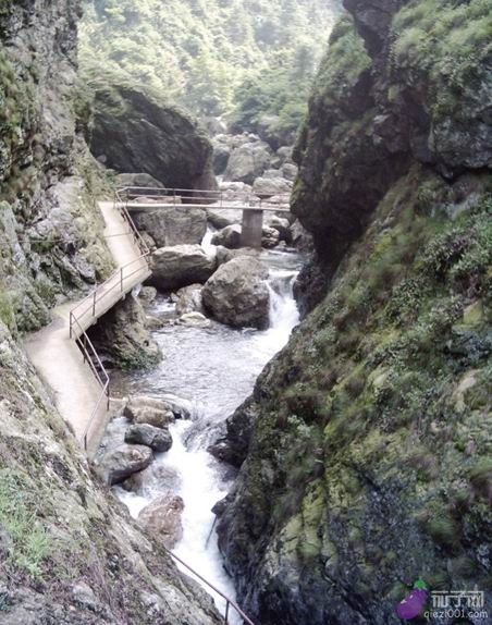 峡谷纵深10公里,风景奇特,山峰秀丽,悬崖峭壁,飞瀑流泉,野花满谷,绿树