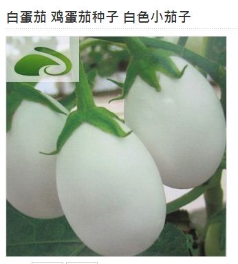 看图猜一猜那个像茄子的小鸡蛋似的东西是啥