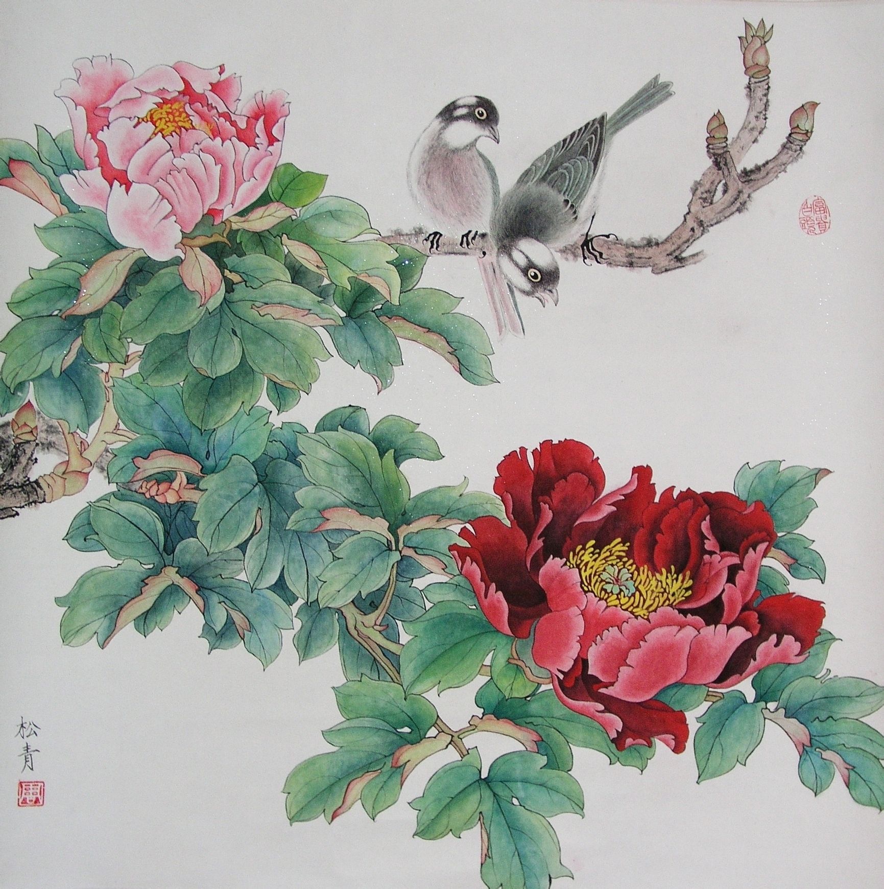 国画白头翁怎么画
