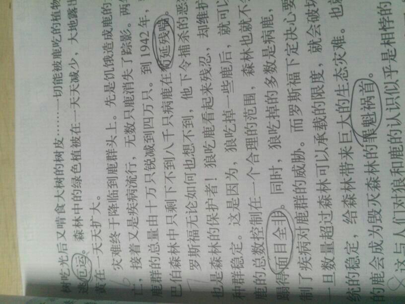 恐怖的词语解释