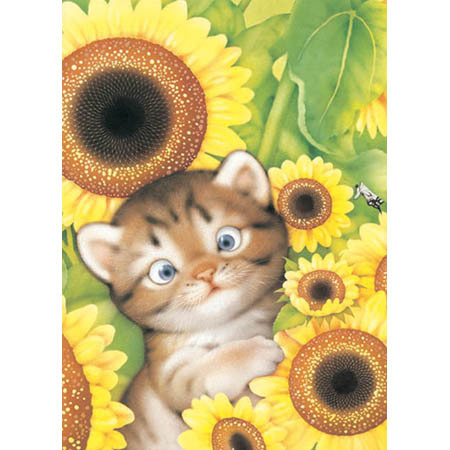 呵呵~这张可爱不? 我喜欢向日葵和小猫