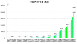 人均国内生产总值