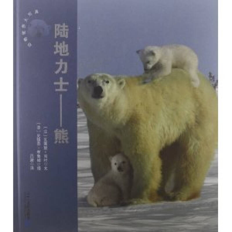 动物世界大写真:陆地力士:熊