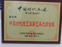 张亚辉书画家奖项图册