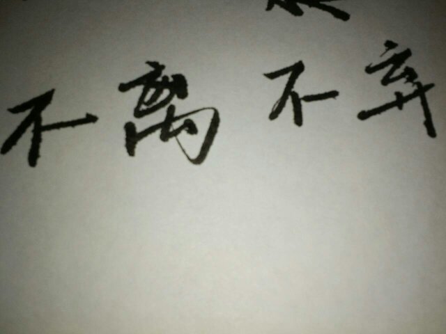 不离不弃各国的文字写法