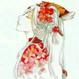 求古风半脸美图,手绘,线稿,彩图都可以,类似这种