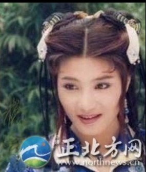杨丽菁演过的一部电影